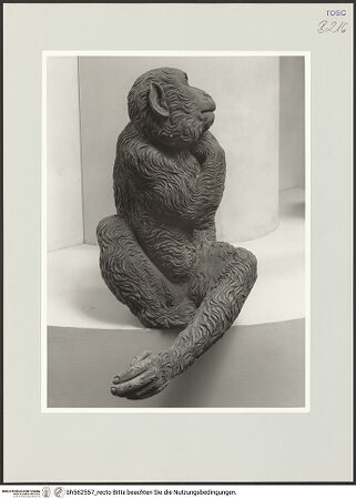 Vorderseite von bh562557_recto