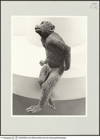 Vorderseite von bh562558_recto