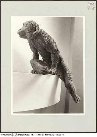 Vorderseite von bh562560_recto