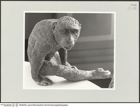 Vorderseite von bh562561_recto