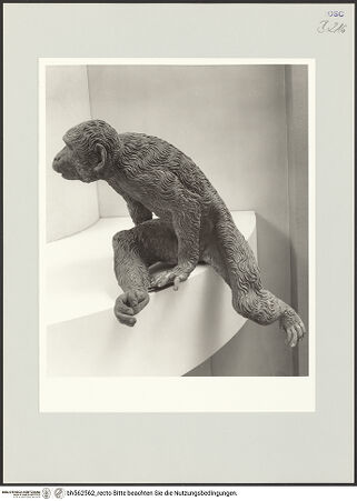 Vorderseite von bh562562_recto