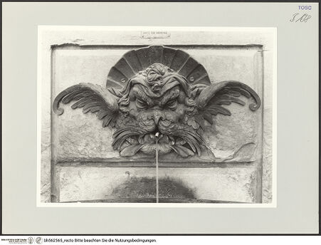 Vorderseite von bh562565_recto