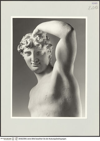 Vorderseite von bh562569_recto