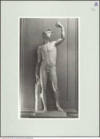 Vorderseite von Kunsthistorisches Institut in Florenz [http://creativecommons.org/licenses/by-nc-sa/4.0/] Bacchus - Gesamtansicht (während der Ausstellung 2003-2004 im Palazzo Pitti), bh562588_recto. Foto: Sigismondi, Roberto.