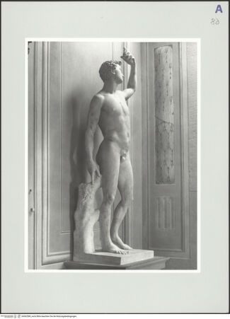 Vorderseite von Kunsthistorisches Institut in Florenz [http://creativecommons.org/licenses/by-nc-sa/4.0/] Bacchus - Schrägansicht von links (während der Ausstellung 2003-2004 im Palazzo Pitti), bh562589_recto. Foto: Sigismondi, Roberto.