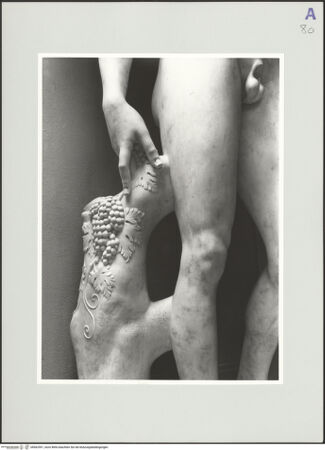 Vorderseite von Kunsthistorisches Institut in Florenz [http://creativecommons.org/licenses/by-nc-sa/4.0/] Bacchus - Detail: Weinstock mit Inschrift (während der Ausstellung 2003-2004 im Palazzo Pitti), bh562591_recto. Foto: Sigismondi, Roberto.