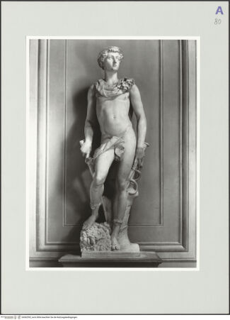 Vorderseite von bh562592_recto