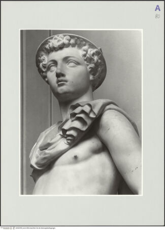 Vorderseite von bh562595_recto