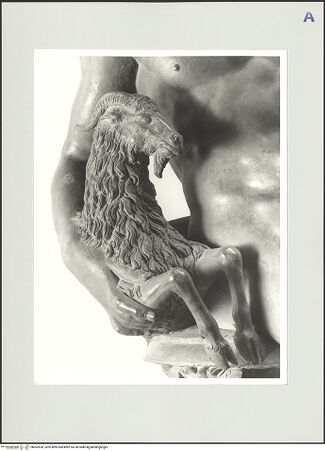 Vorderseite von bh562630_recto