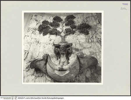 Vorderseite von bh562671_recto