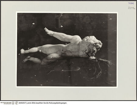 Vorderseite von bh562677_recto