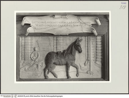 Vorderseite von bh562678_recto