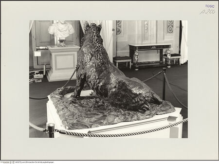 Vorderseite von bh562722_recto