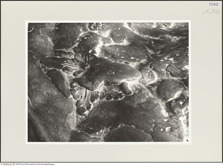 Vorderseite von bh562724_recto