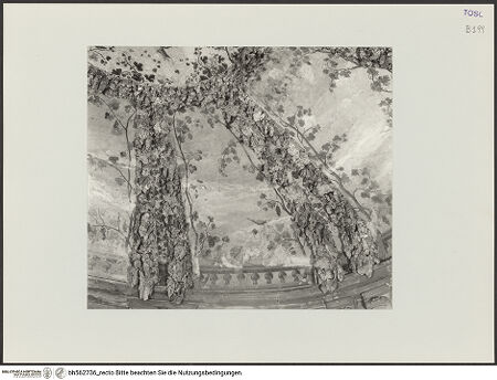 Vorderseite von bh562736_recto