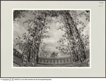 Vorderseite von bh562737_recto