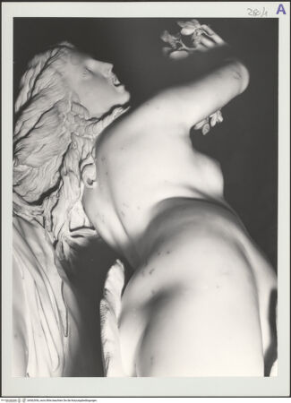 Vorderseite von bh562956_recto