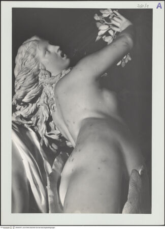 Vorderseite von bh562957_recto