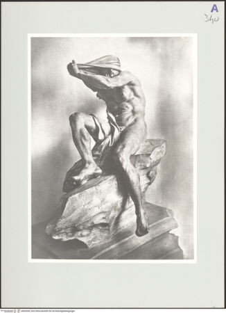 Vorderseite von bh563059_recto