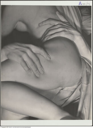 Vorderseite von bh563077_recto