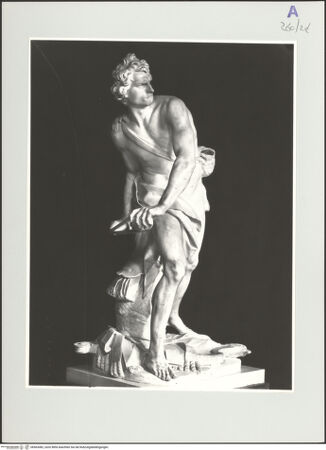 Vorderseite von bh563082_recto