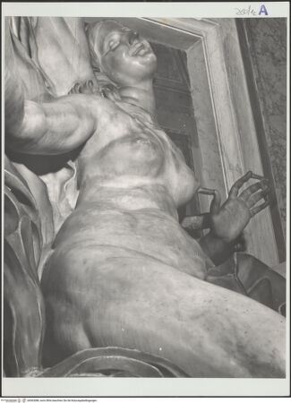 Vorderseite von bh563088_recto