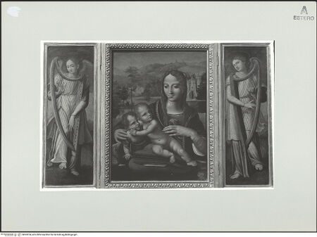 Vorderseite von bh563224_recto