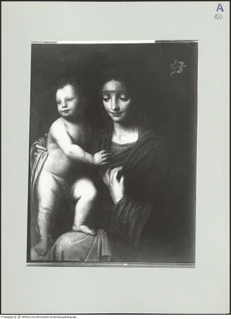 Vorderseite von bh563225_recto