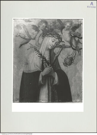 Vorderseite von bh563230_recto