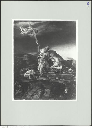 Vorderseite von bh563237_recto