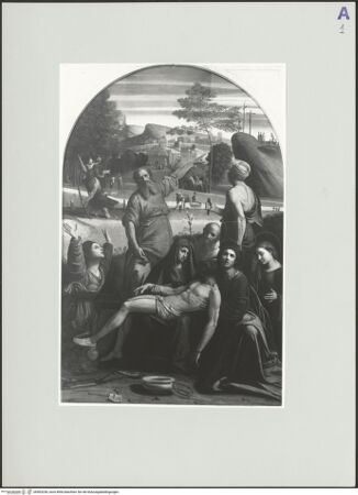 Vorderseite von bh563238_recto