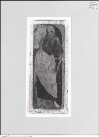 Vorderseite von Sopr. BAS NA [https://www.deutsche-digitale-bibliothek.de/content/lizenzen/rv-ez/] Heiliger Paulus - Gesamtansicht, bh563261_recto. Foto.