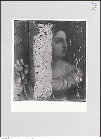 Vorderseite von Sopr. BAS NA [https://www.deutsche-digitale-bibliothek.de/content/lizenzen/rv-ez/] Dalila - Gesamtansicht, bh563265_recto. Foto.