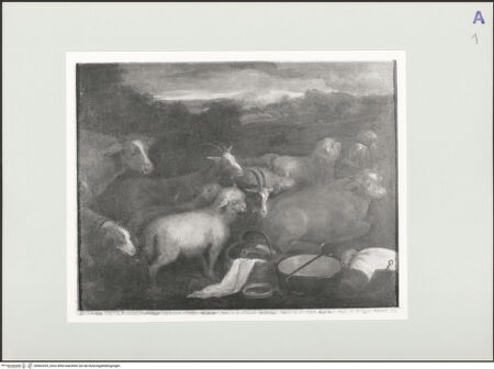 Vorderseite von bh563325_recto