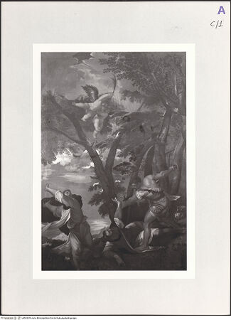 Vorderseite von bh563359_recto