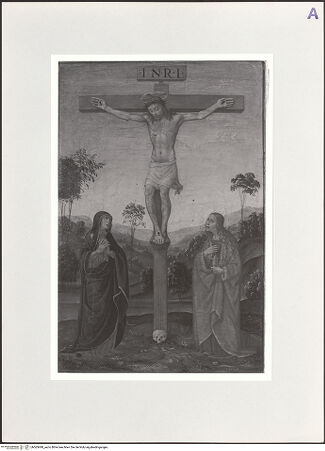 Vorderseite von bh563499_recto