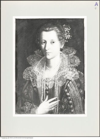 Vorderseite von bh563513_recto