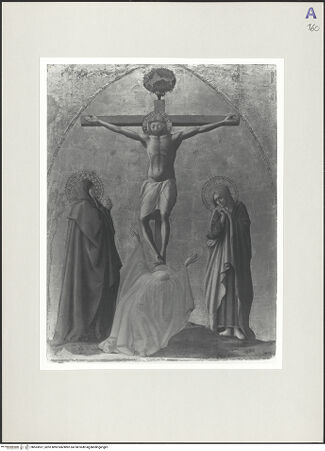 Vorderseite von bh563597_recto