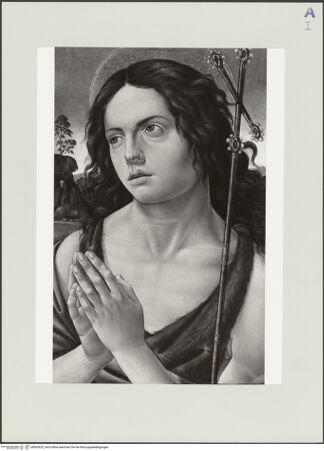 Vorderseite von bh563625_recto