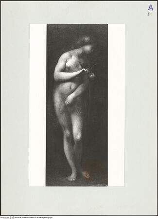 Vorderseite von bh563628_recto