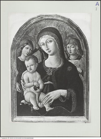 Vorderseite von bh563644_recto