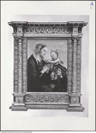 Vorderseite von bh563650_recto