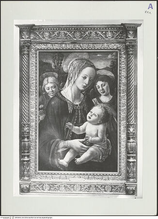 Vorderseite von ICCD [https://www.deutsche-digitale-bibliothek.de/content/lizenzen/rv-ez/] Madonna und zwei Engel - , bh563664_recto. Foto.