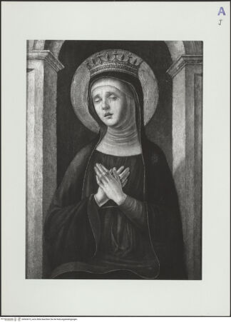 Vorderseite von bh563673_recto