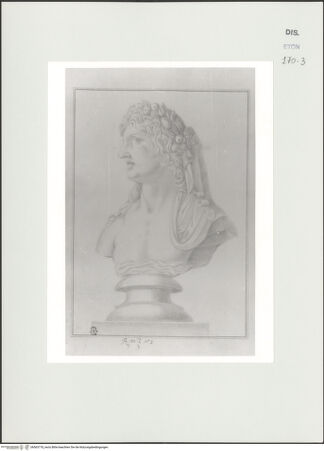 Vorderseite von Courtauld Institute, Conway Library [https://www.deutsche-digitale-bibliothek.de/content/lizenzen/rv-ez/] Flussgott (Büste, Museo Archeologico Nazionale, Neapel) - , bh563718_recto. Foto.