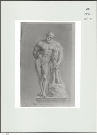 Vorderseite von Courtauld Institute, Conway Library [https://www.deutsche-digitale-bibliothek.de/content/lizenzen/rv-ez/] Herkules Farnese (Statue, Museo Archeologico Nazionale, Neapel) - , bh563723_recto. Foto.
