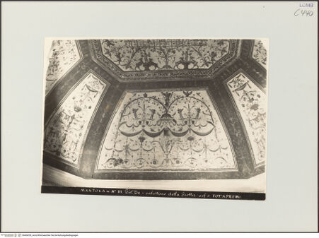 Vorderseite von Premi, A. (Mantua) [https://www.deutsche-digitale-bibliothek.de/content/lizenzen/rv-ez/] Groteskendekoration mit Pergolamotiv - , bh564038_recto. Foto.