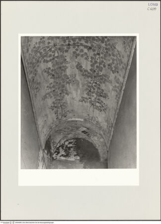 Vorderseite von Bibliotheca Hertziana [https://www.deutsche-digitale-bibliothek.de/content/lizenzen/rv-fz/] Dekoration aus Weinranken - Teilansicht, bh564089_recto. Foto: Schmidt, Hans Werner.