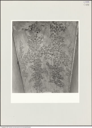 Vorderseite von Bibliotheca Hertziana [https://www.deutsche-digitale-bibliothek.de/content/lizenzen/rv-fz/] Dekoration aus Weinranken - Teilansicht, bh564090_recto. Foto: Schmidt, Hans Werner.