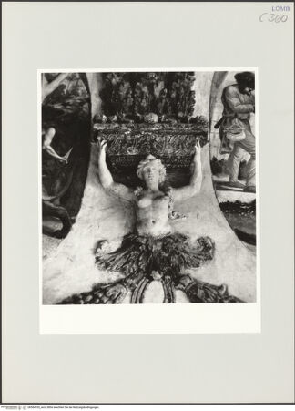 Vorderseite von bh564105_recto